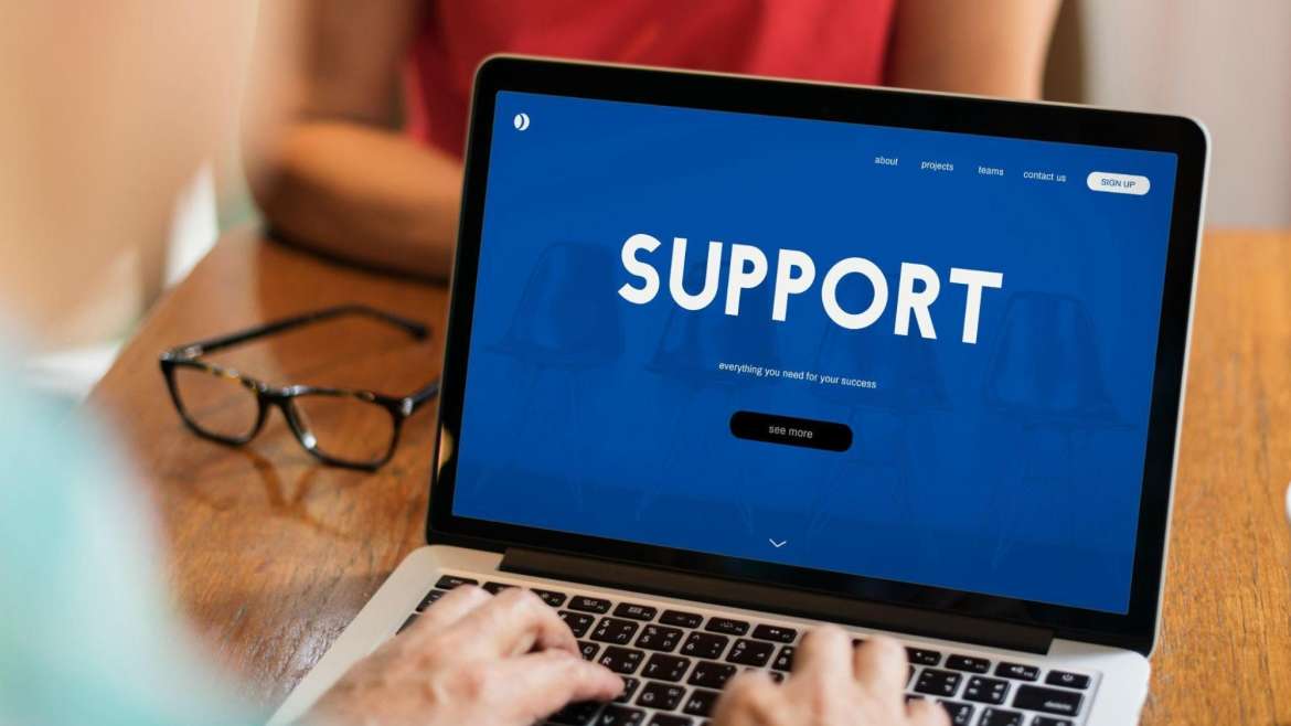 Stake support