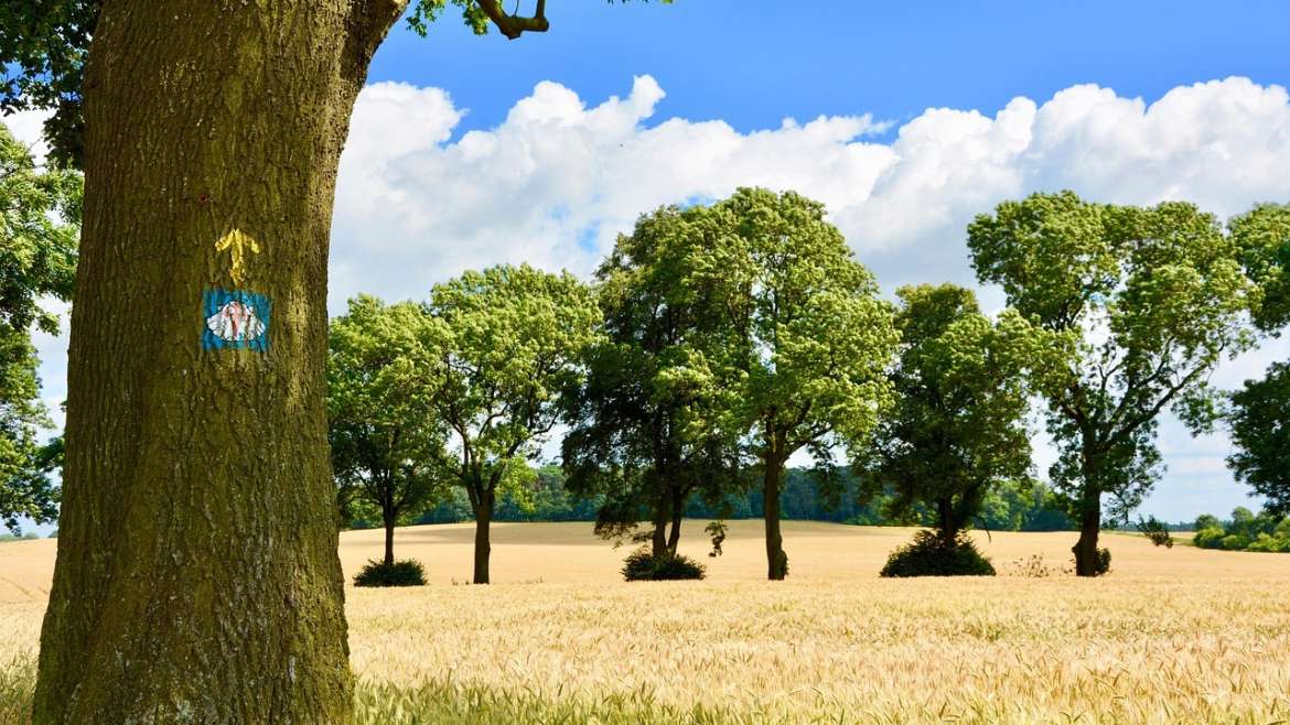 santiago-de-compostela