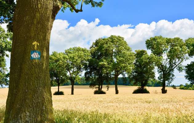 santiago-de-compostela