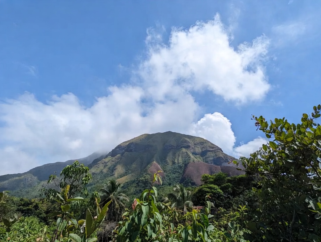 Dominican Republic Nature