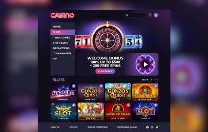 Online Casino website