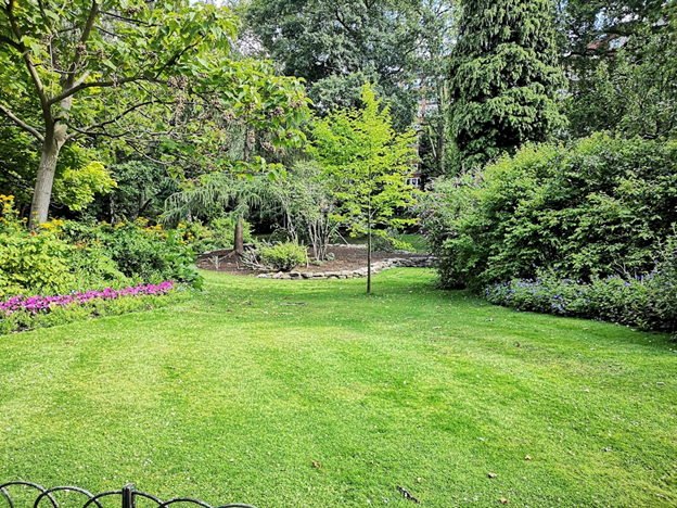 Outdoor Lawn