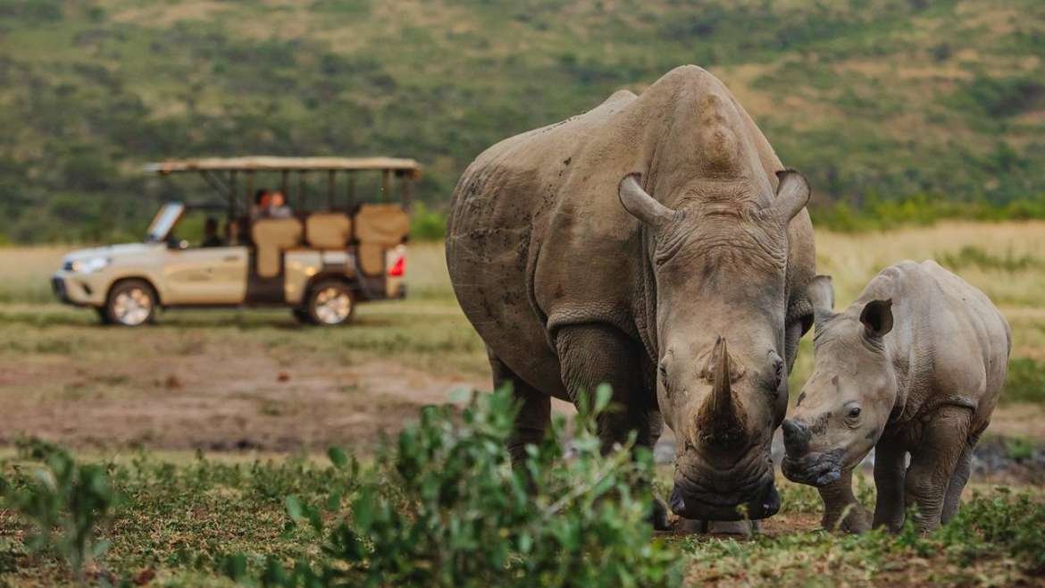best time to travel south africa
