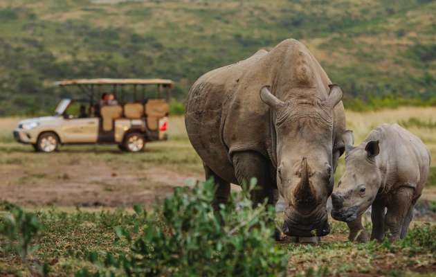 best time to travel south africa