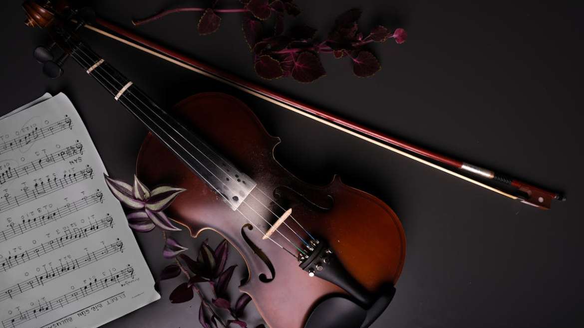 cheap violin