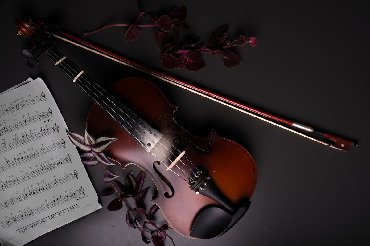cheap violin