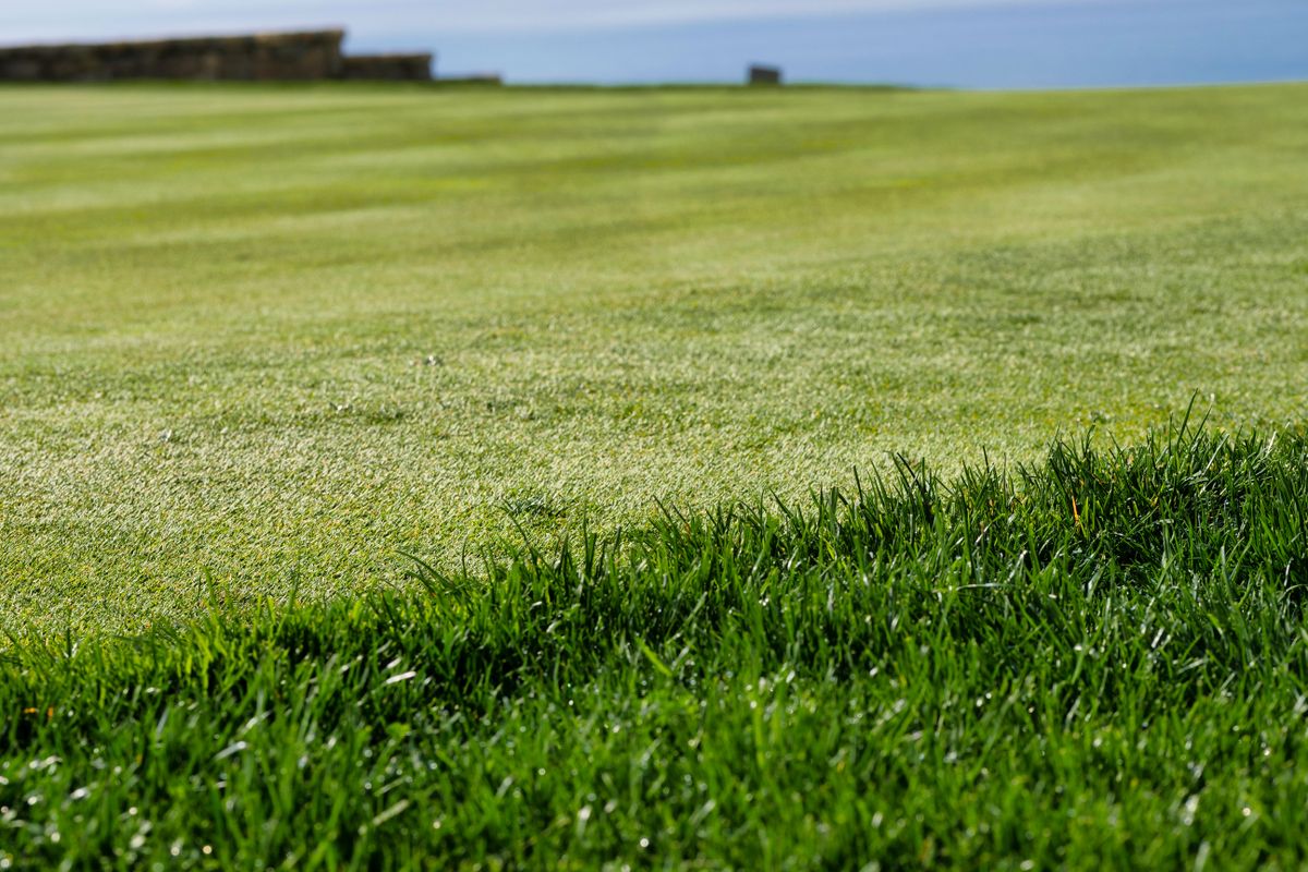 Phoenix Artificial Turf Cleaning